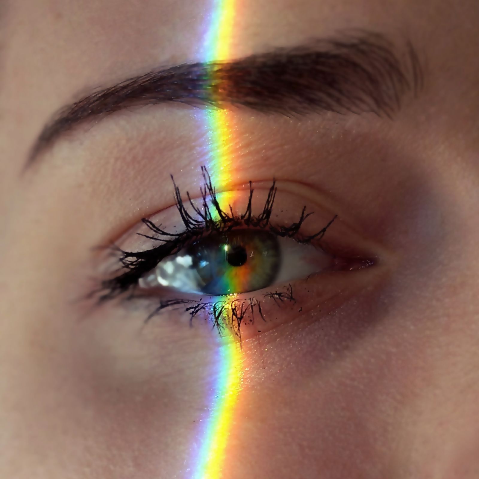 imagen festival fotomatón